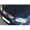 НАКЛАДКИ НА РЕШЕТКУ РАДИАТОРА (НЕРЖ.) 6-ШТ. ДЛЯ VW POLO 2005-2009 (OMSA PRIME, 7507081) НАКЛАДКИ НА РЕШЕТКУ РАДИАТОРА (НЕРЖ.) 6-ШТ. ДЛЯ VW POLO 2005-2009 (OMSA PRIME, 7507081)