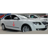  Молдинги на двери для Skoda Octavia (A7) 2013+ (Automotiva, AT.SDOCTA7S13.F35)