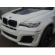  Реснички для BMW X6 (E71) 2008-2012 (LASSCAR, 1LS 030 920-111)