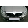  Накладка на переднею эмблему для Skoda Octavia (A5) 2004-2013 (AutoPlast, SOBP2004)