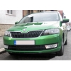  Накладка на передний бампер для Skoda Rapid 2012+ (AutoPlast, SRFBV22012)