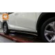  Боковые пороги для Lexus NX 200 2014+ (Can-Otomotive, LENX.43.4612)