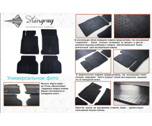  Коврики в салон (пер., 2 шт.) для Ford Transit Connect 2014+ (Stingray, 1007102)