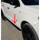  Боковые пороги (Tayga) для Porsche Cayenne 2002-2010 (Erkul, bra120.tag193)