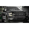  Решетка радиатора (Raptor, с Led огнями) для Ford F150 2015+ (Asp, KRN-FD-015)