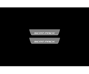  Накладки на пороги (Static, зад., с Led подсветкой) для Dodge Charger 2011+ (OPdesign, DHLS-STA-DOD-CHER11-Z-SACT)